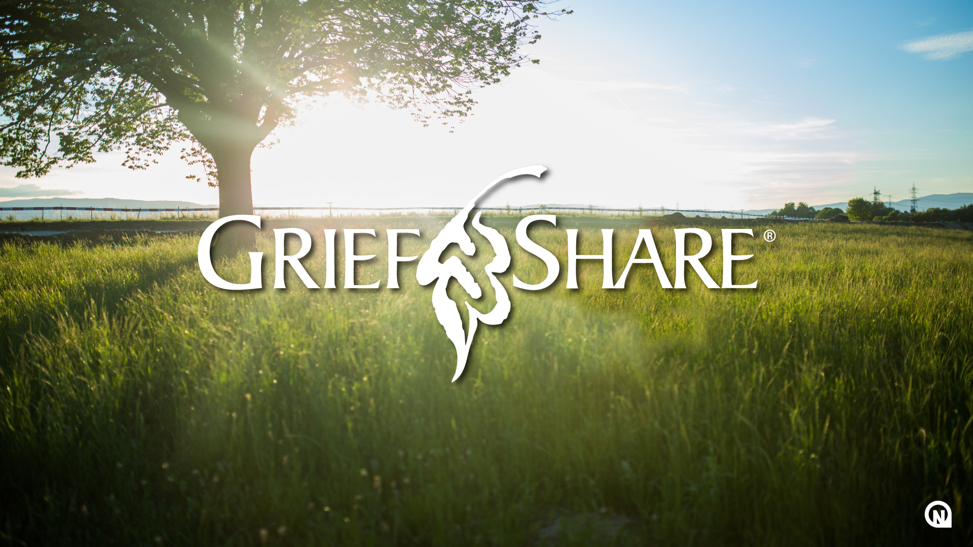 GriefShare Support Group